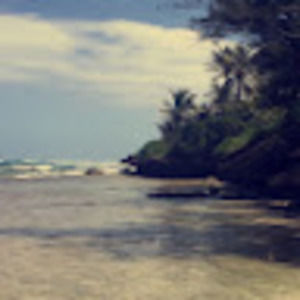 Meet your Posher, Marley